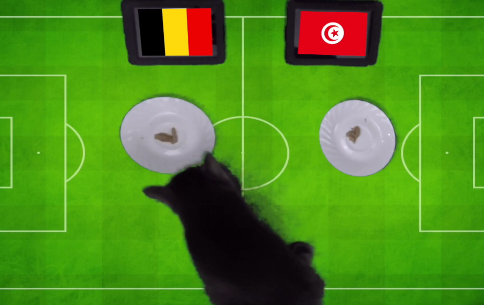 Tiên tri Cass dự đoán Bỉ vs Tunisia, 19h ngày 23/6