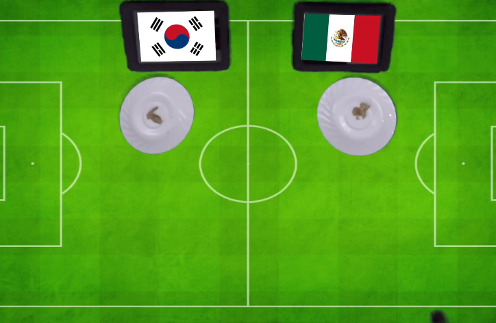Tiên tri Cass dự đoán Hàn Quốc vs Mexico, 22h ngày 23/6