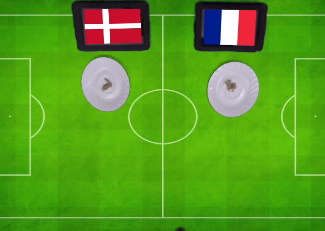 Tiên tri Cass dự đoán Đan Mạch vs Pháp (21h, 26/6)