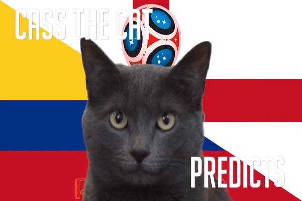 Tiên tri Cass dự đoán Colombia vs Anh, 1h ngày 4/7