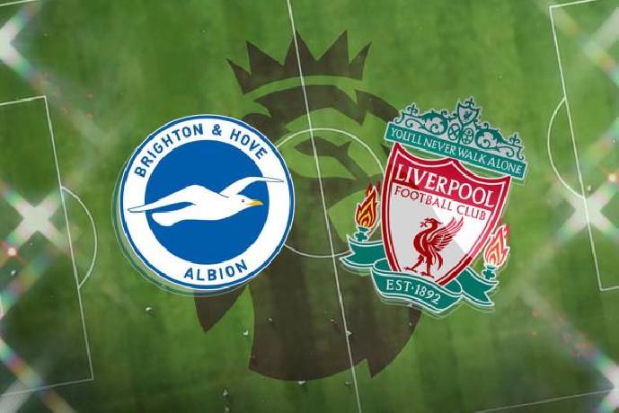 Lịch sử, thành tích đối đầu Brighton vs Liverpool, 22h00 ngày 14/1