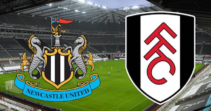 Thành tích, lịch sử đối đầu Newcastle vs Fulham, 21h00 ngày 15/1