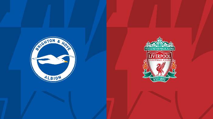 Thành tích, lịch sử đối đầu Brighton vs Liverpool, 20h00 ngày 29/1