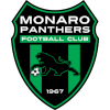 Monaro Panthers U23