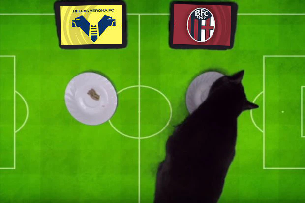 Mèo Cass chọn ai trận Verona vs Bologna, 1h45 ngày 19/9  - Ảnh 1