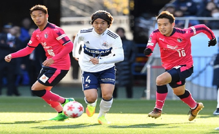 Kèo bóng đá Nhật Bản hôm nay 3/12: Albirex Niigata vs Cerezo - Ảnh 1