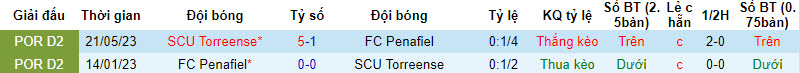 Nhận định, soi kèo Torreense vs Penafiel, 3h45 ngày 16/1: Thêm một lần đau - Ảnh 3