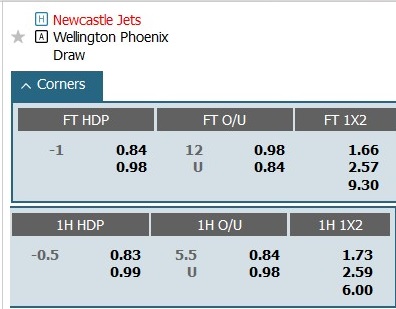 Soi kèo phạt góc Newcastle Jets vs Wellington Phoenix, 14h ngày 27/1 - Ảnh 1