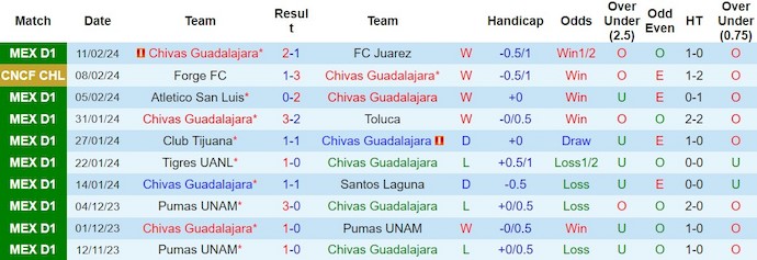 Soi kèo hiệp 1 Guadalajara Chivas vs Forge, 10h ngày 14/2 - Ảnh 1