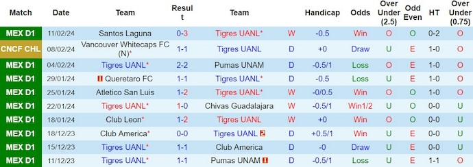 Nhận định, soi kèo Tigres UANL vs Vancouver WC, 8h ngày 15/2: Không quá chênh lệch - Ảnh 1