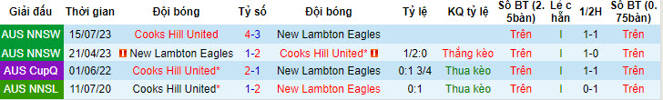 Nhận định, soi kèo Cooks Hill Utd vs New Lambton, 16h30 ngày 12/6: Nhấn chìm đối thủ - Ảnh 3