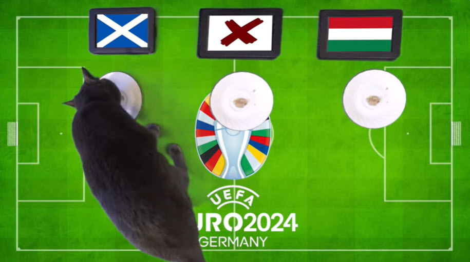 Mèo Cass dự đoán Scotland vs Hungary, 2h ngày 24/6 - Ảnh 1