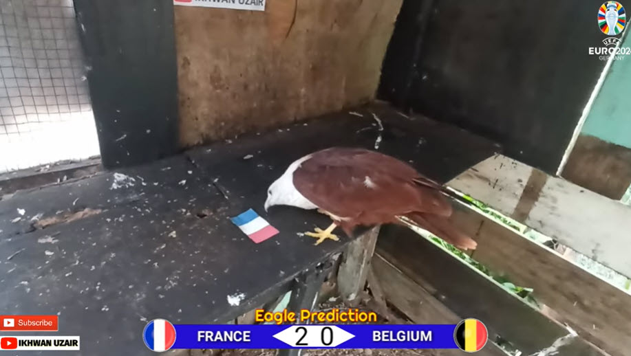 Đại bàng Romeu dự đoán Pháp vs Bỉ, 23h ngày 1/7 - Ảnh 1