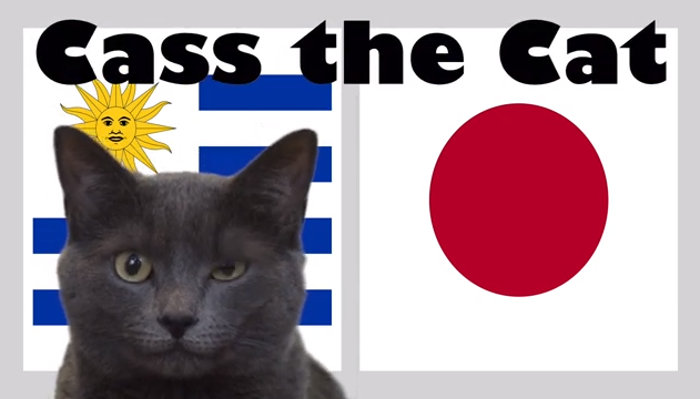 Tiên tri mèo Cass dự đoán Uruguay vs Nhật Bản, 6h ngày 21/6