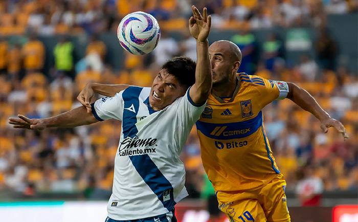 Thành tích lịch sử đối đầu Puebla vs Tigres UANL, 8h ngày 1/12