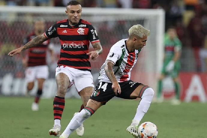 Nhận định, soi kèo Palestino vs Flamengo, 7h ngày 8/5: Níu kéo cơ hội đi tiếp